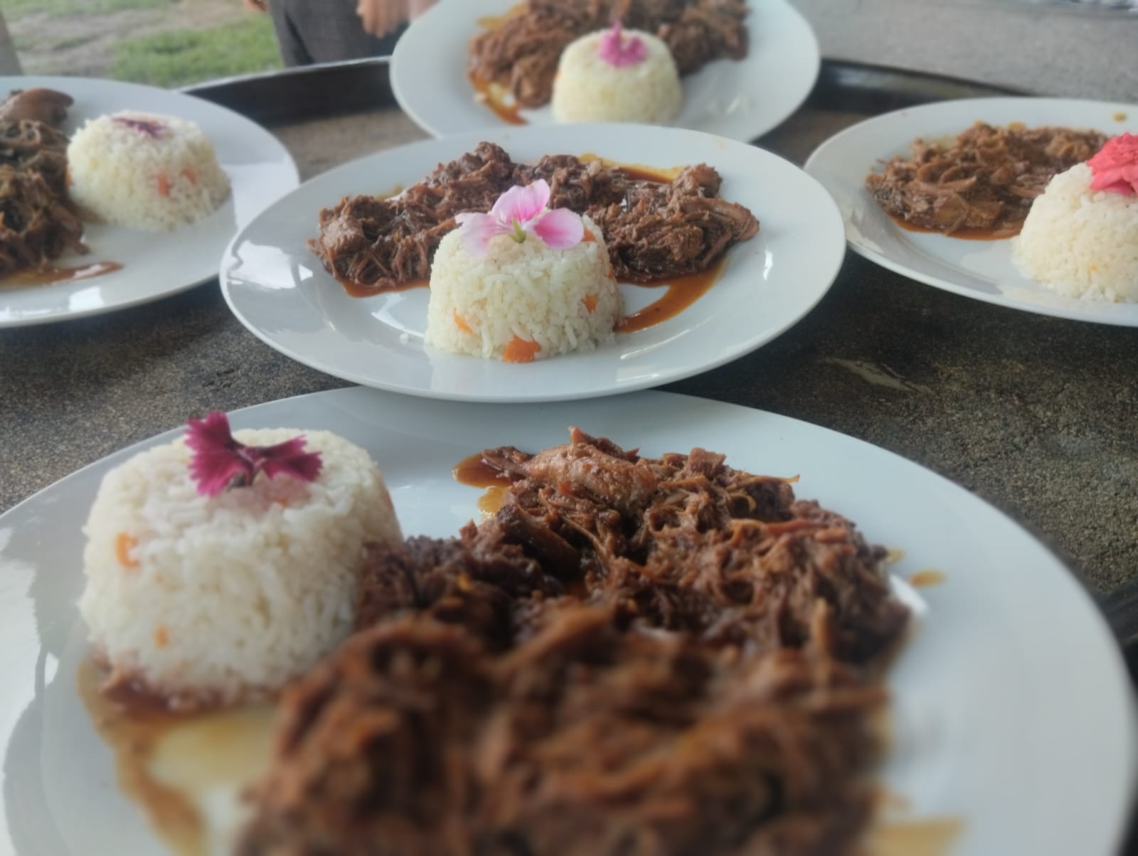 Comida corrida diaria